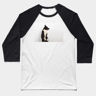 Playful sheepdog Baseball T-Shirt